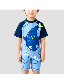 Boys' Color-Blocked Quick-Drying Swimsuit
